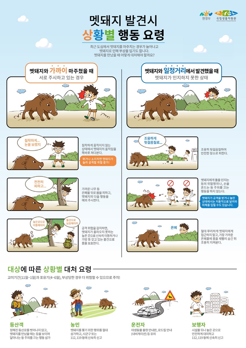 1.멧돼지로 인한 인명피해 예방 홍보